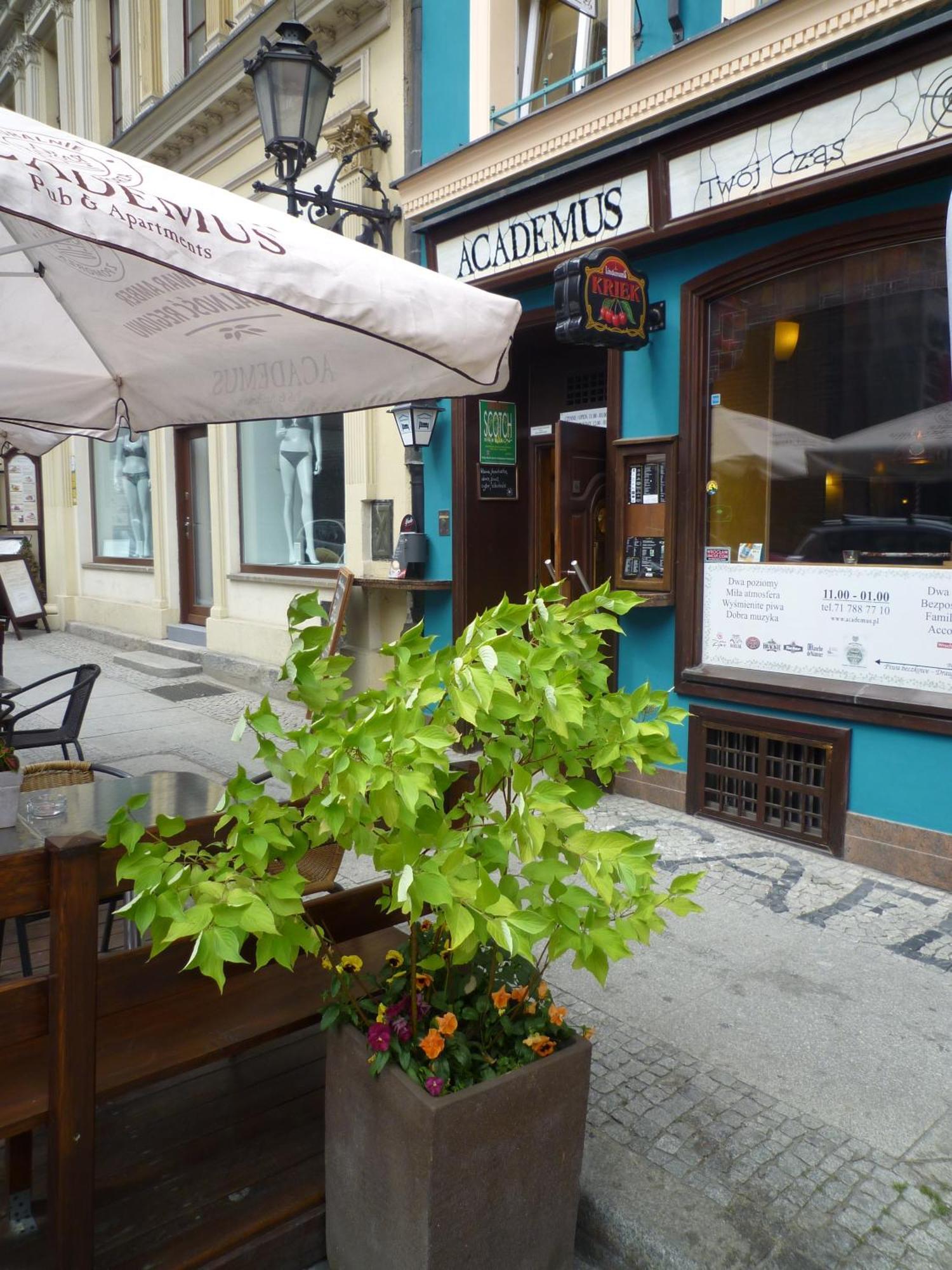 Academus Pub & Guest House ヴロツワフ エクステリア 写真