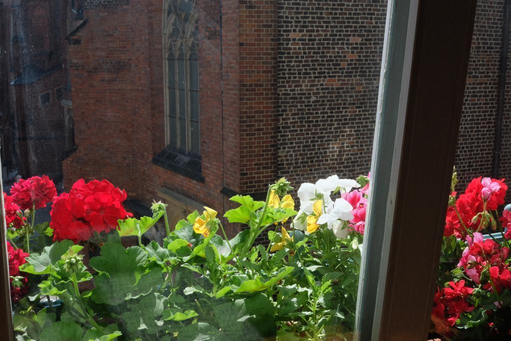 Academus Pub & Guest House ヴロツワフ 部屋 写真
